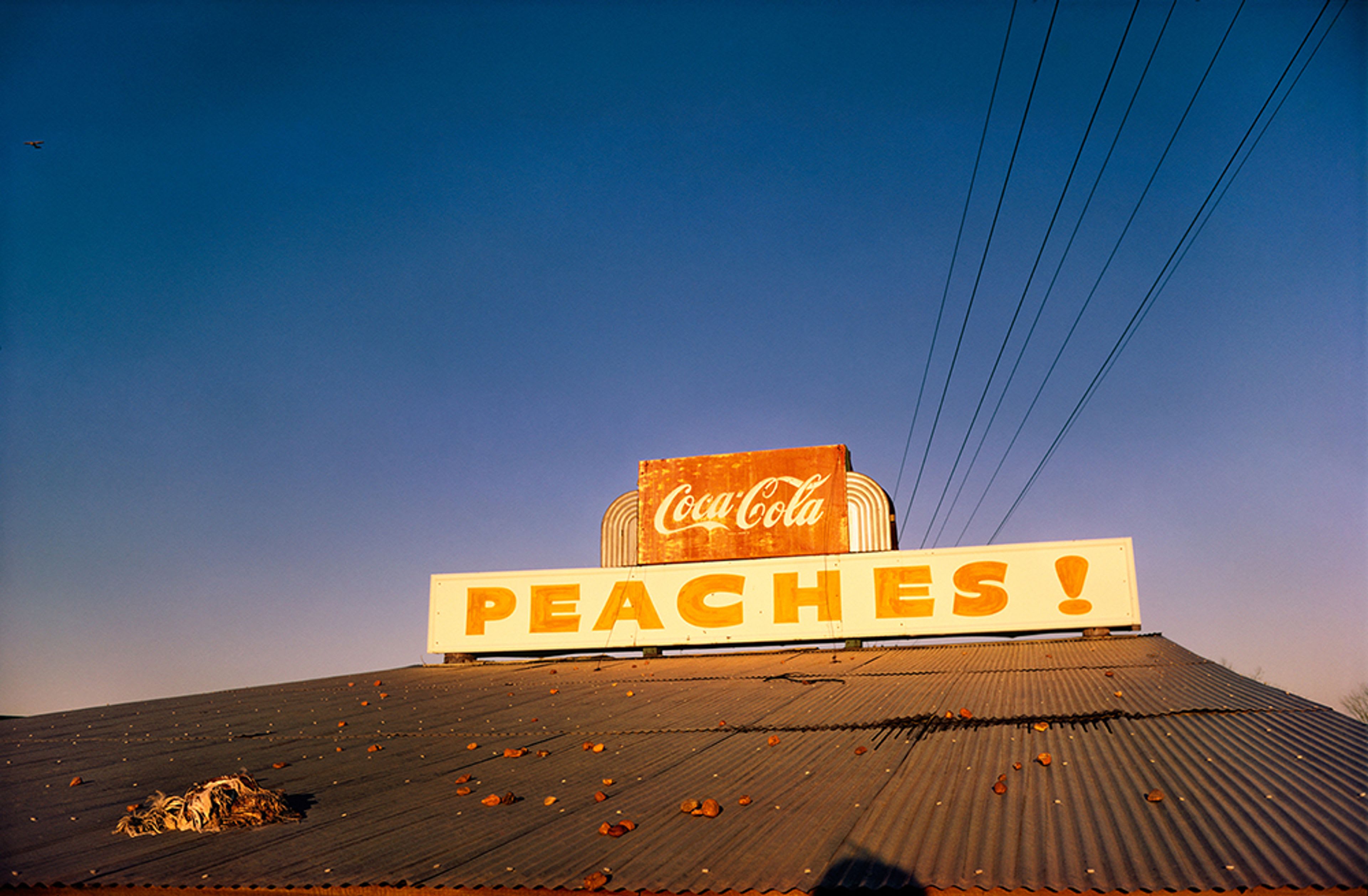 William Eggleston