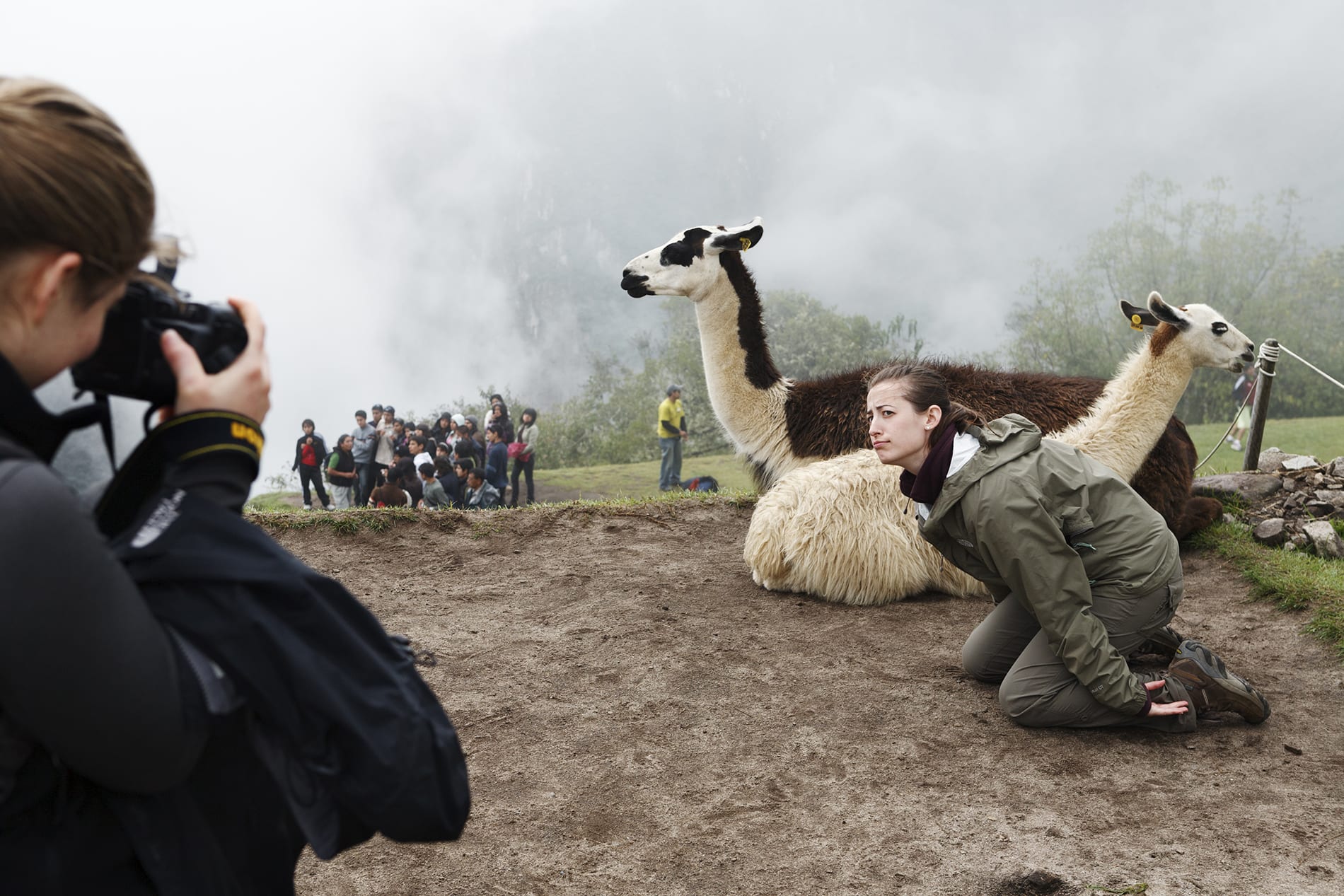 Martin Parr