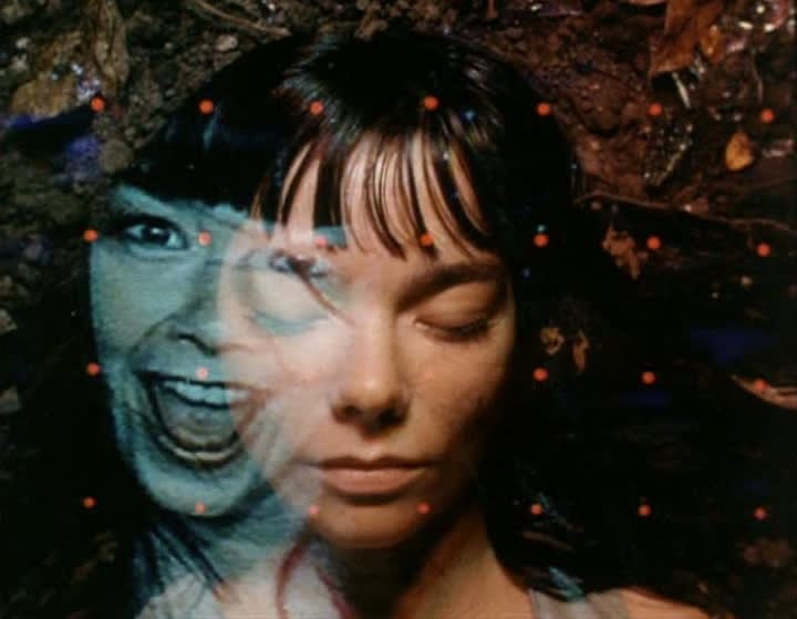 Michel Gondry
