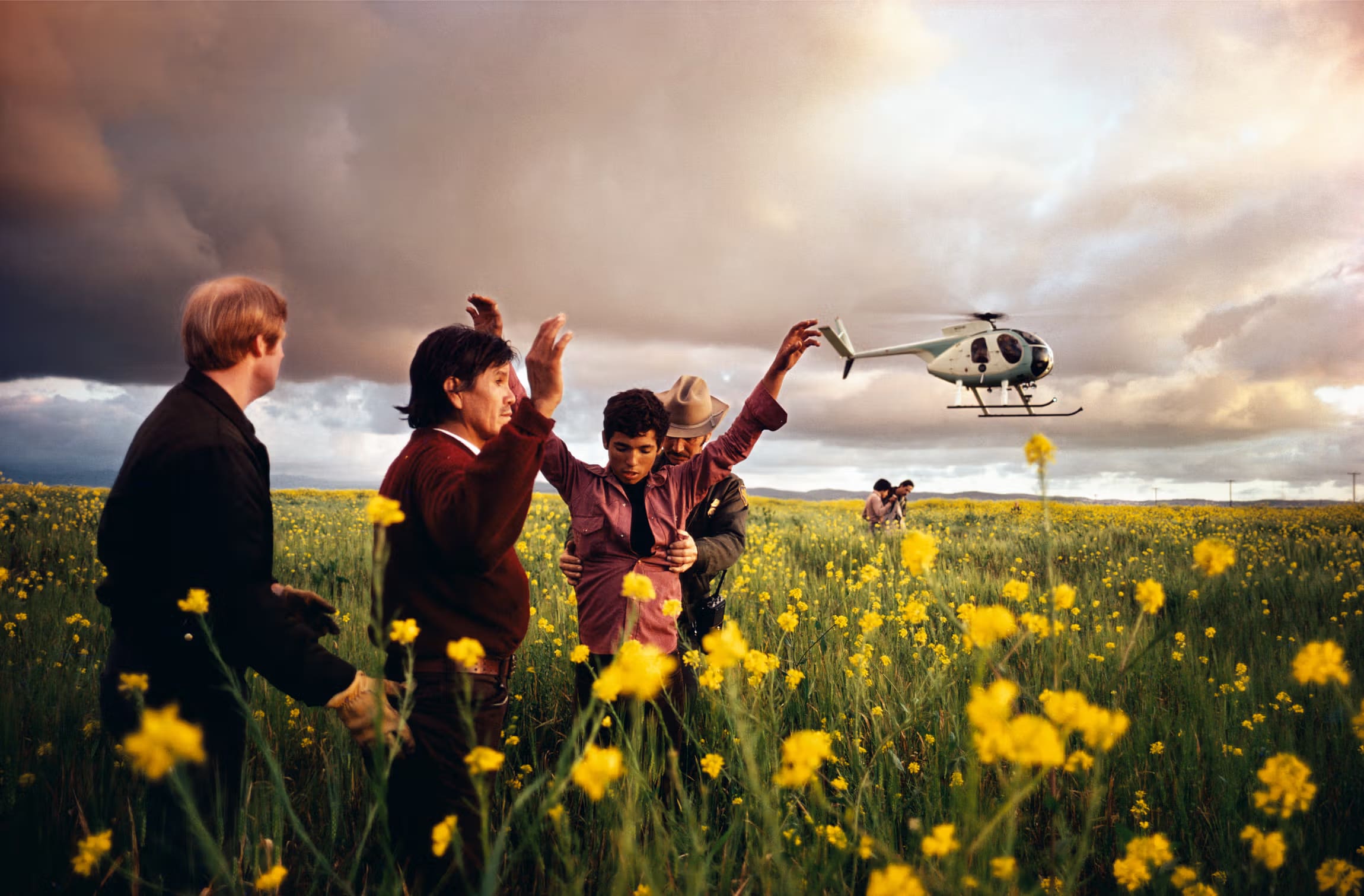 Alex Webb