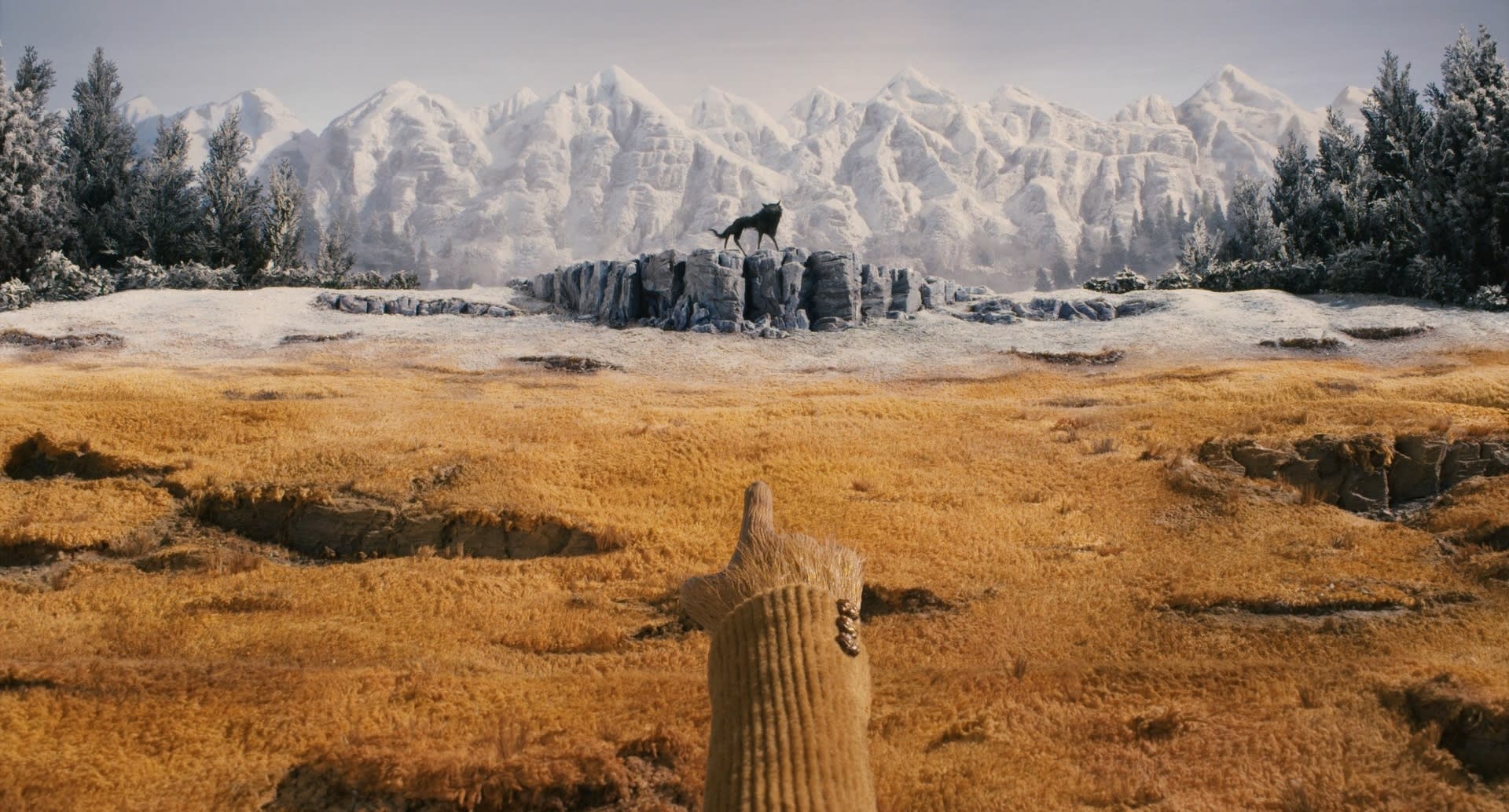 Wes Anderson