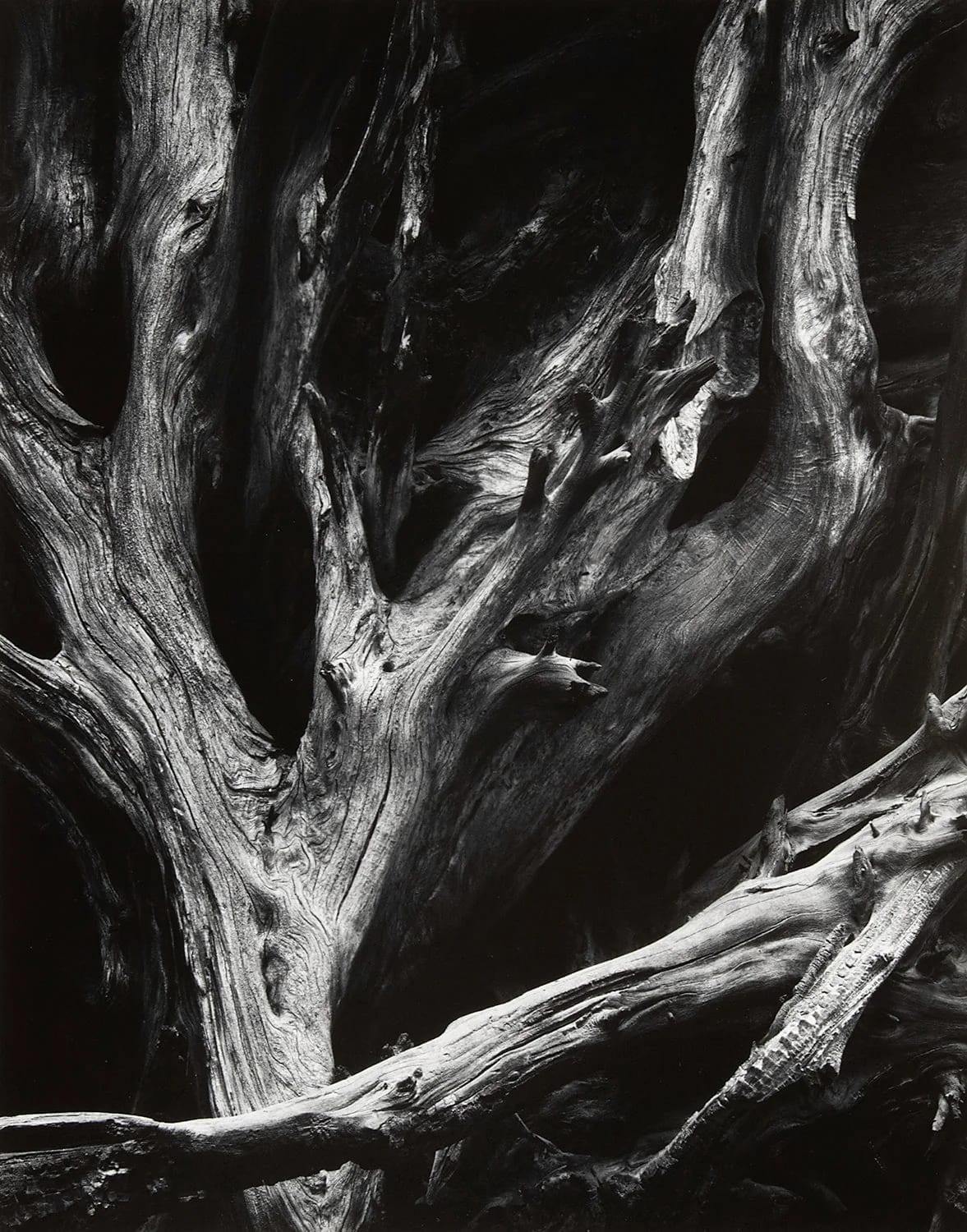 Ansel Adams
