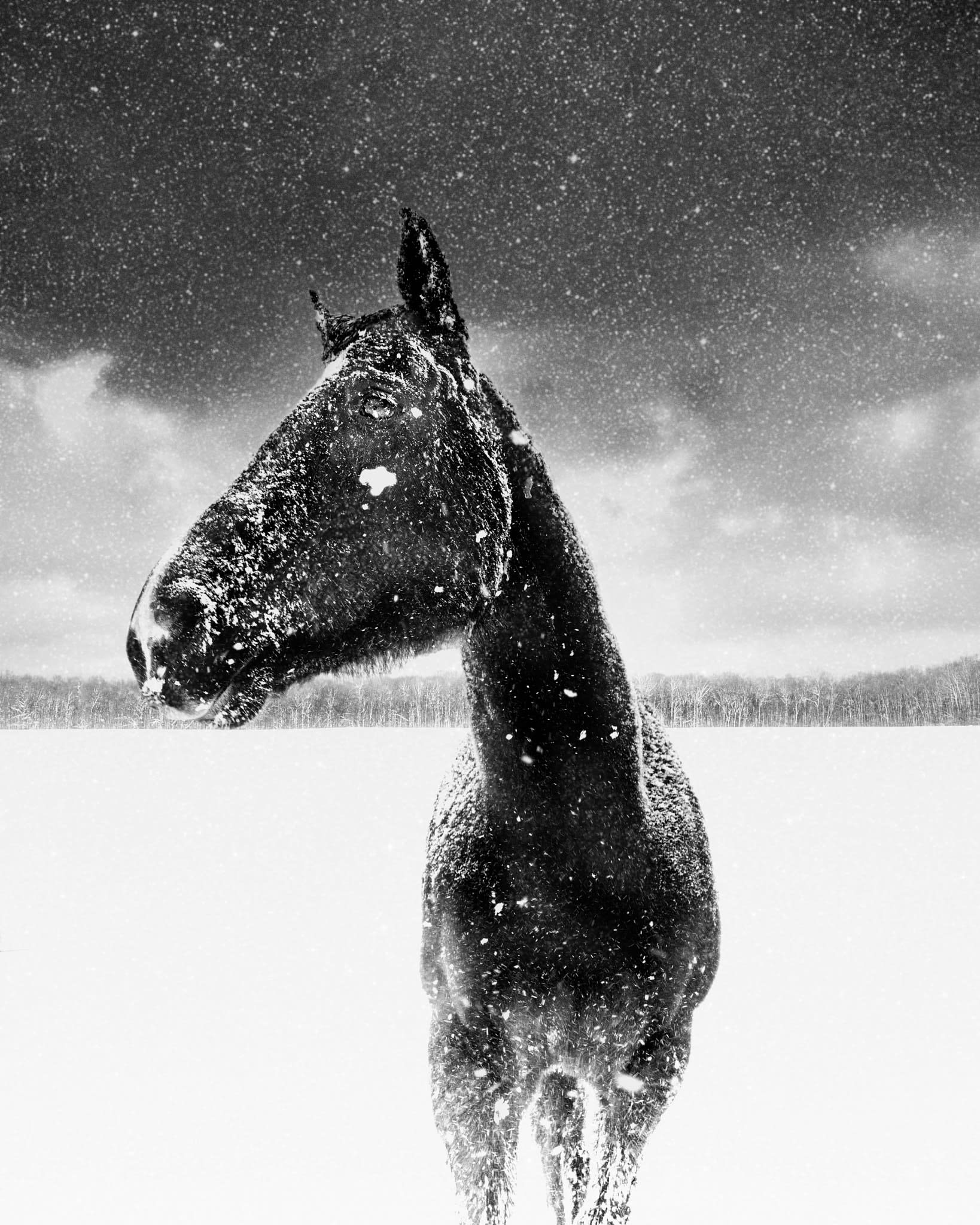 Jason M. Peterson