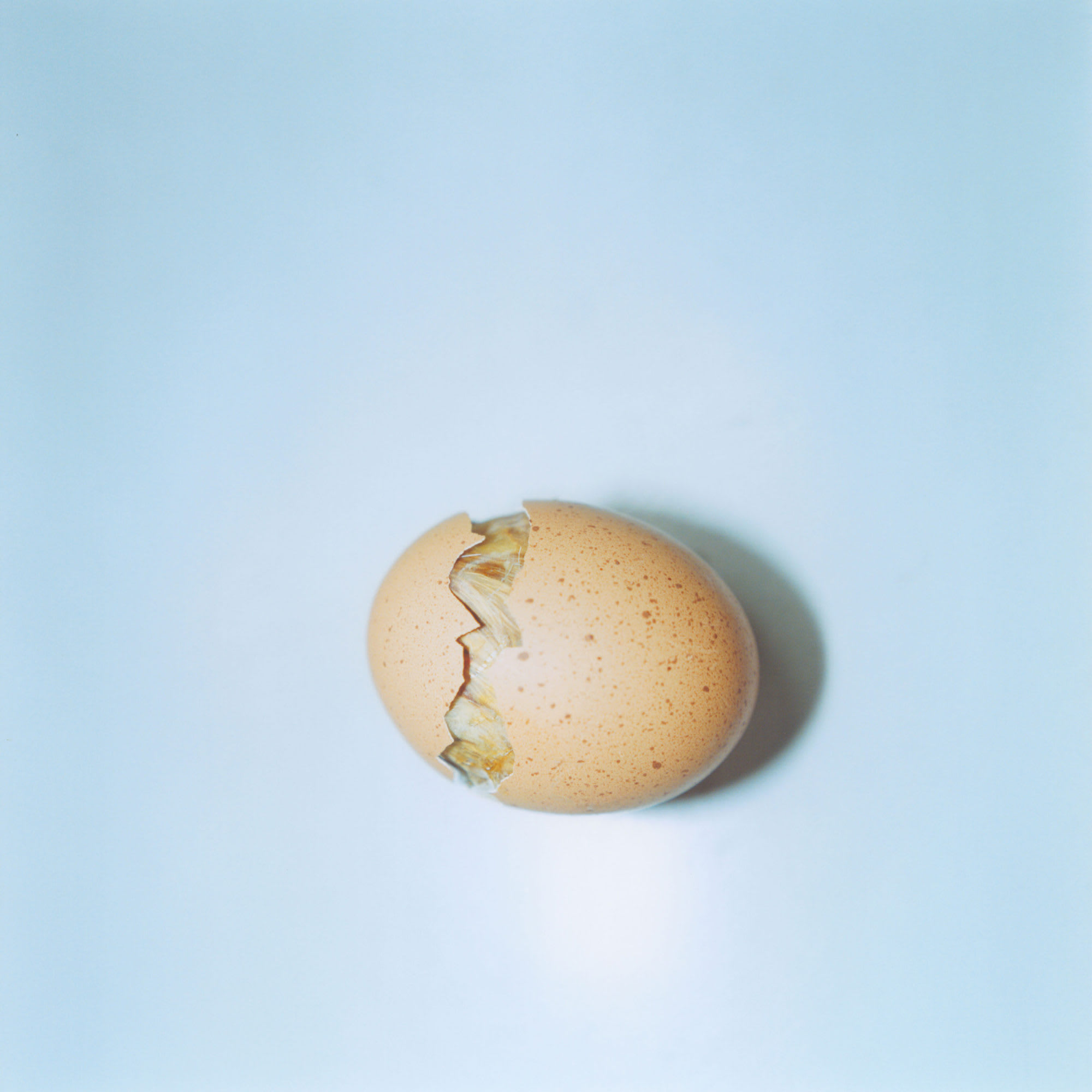Rinko Kawauchi