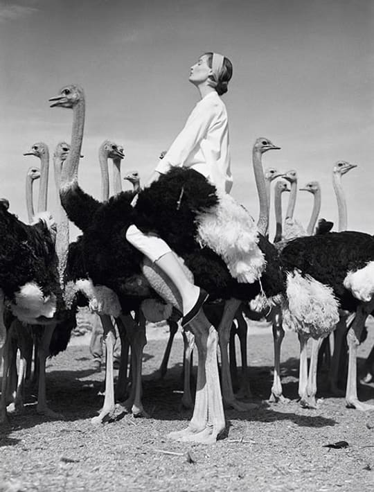Norman Parkinson