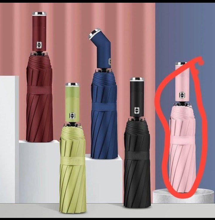 Umbrella