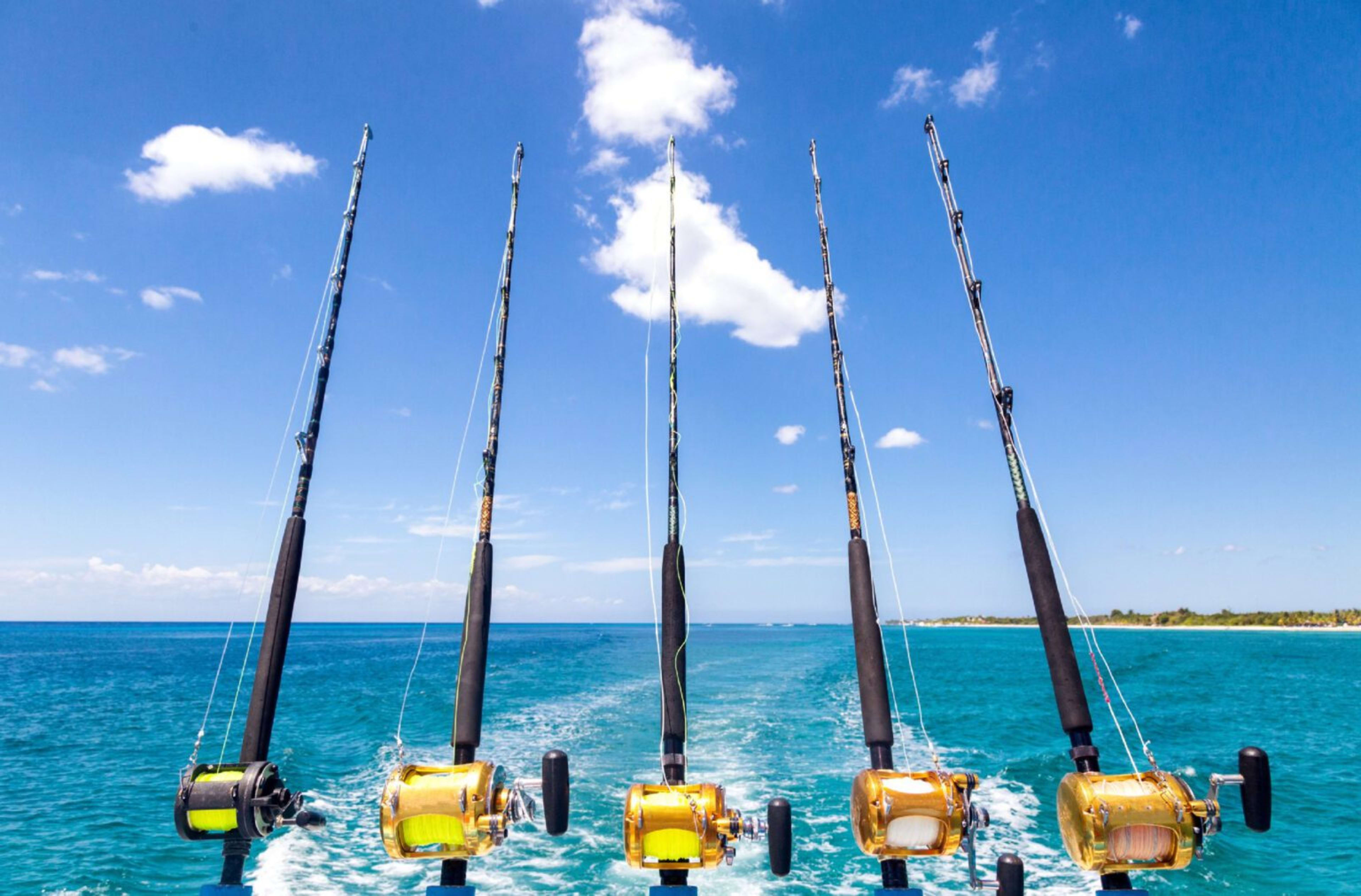 Deep Sea Fishing img 3