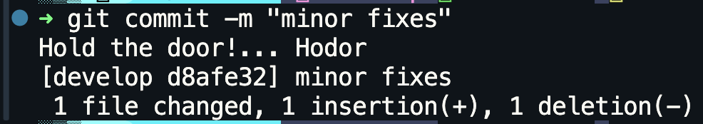pre-commit git hook in action