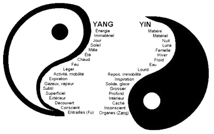 L’énergie se divise en YIN et YANG