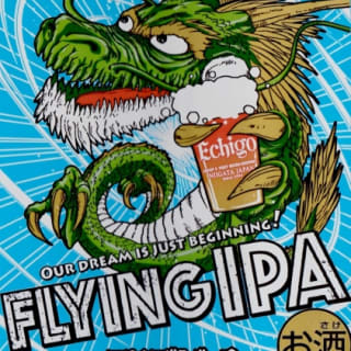 Flying IPA