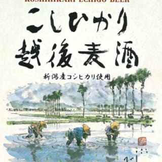 こしひかり越後ビール