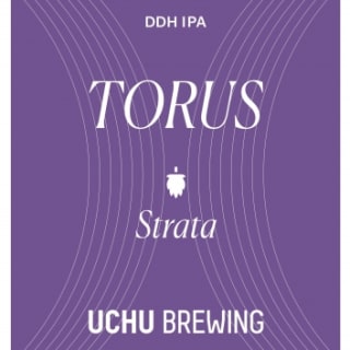 Torus Strata (#545)