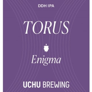 Torus Enigma (#583)