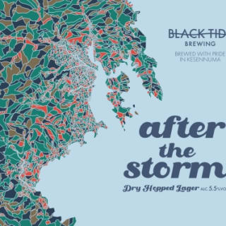 After the Storm