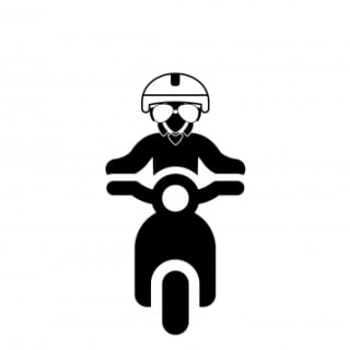 Triumph
