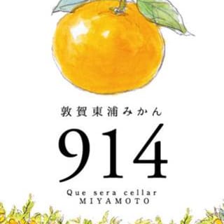 Tsuruga Higashiura Mikan 914