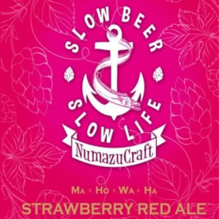 Summer Sunset Strawberry Red Ale