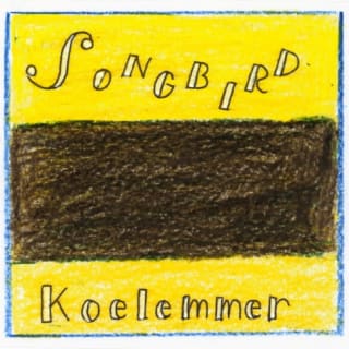 Koelemmer
