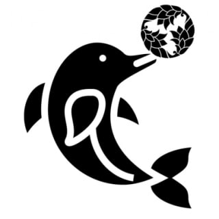 Dolphin Hideout