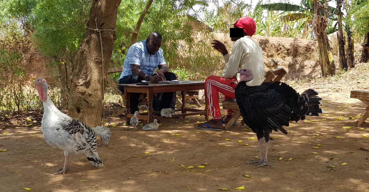 We should do more in social science to recognise enumerators