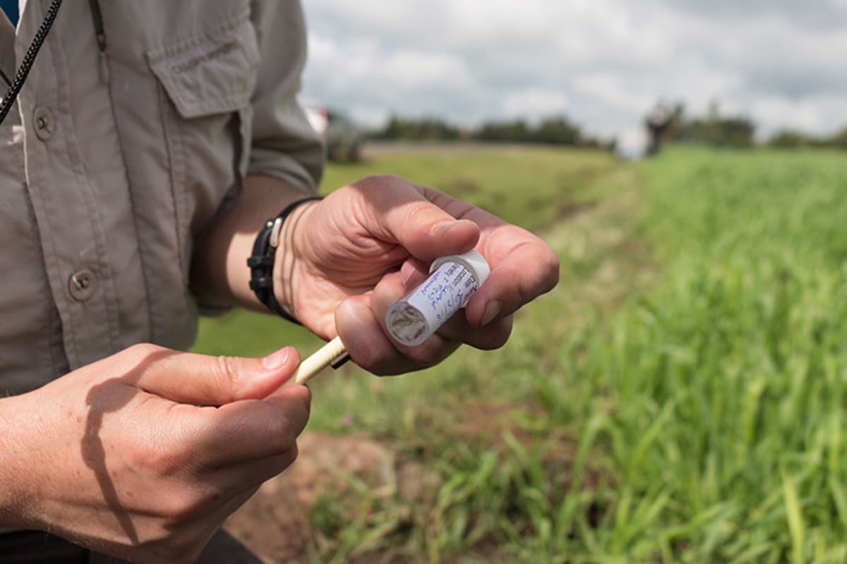 Collecting samples