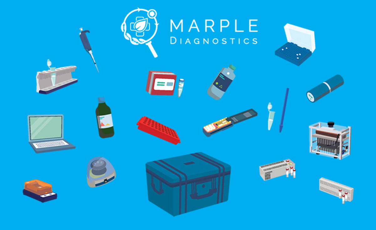 MARPLE contents