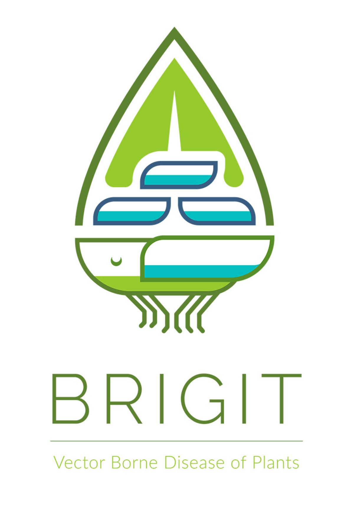 BRIDGIT Logo