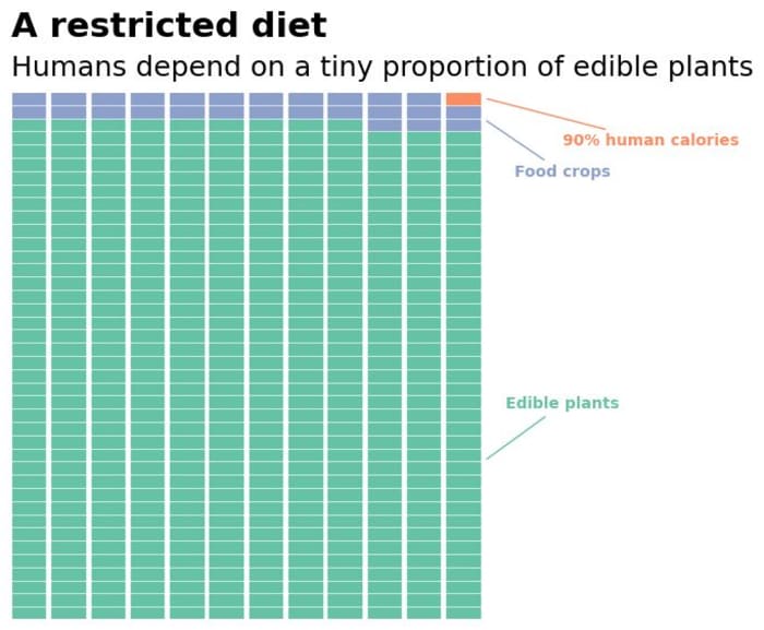 We eat a tiny selection of crops