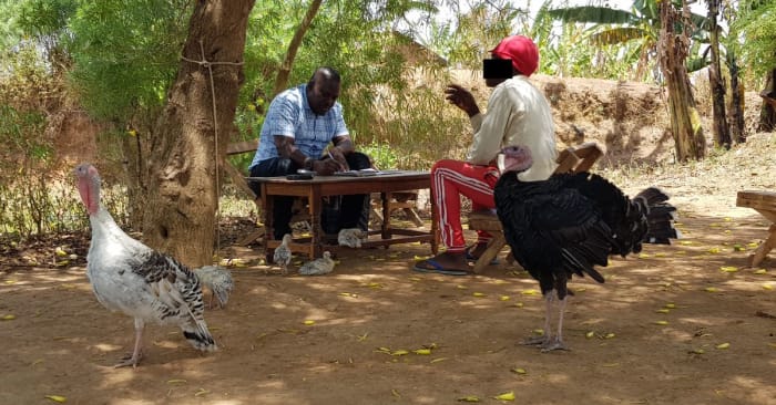 We should do more in social science to recognise enumerators