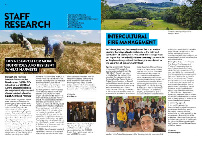 NISD research featured in DEV Annual Report