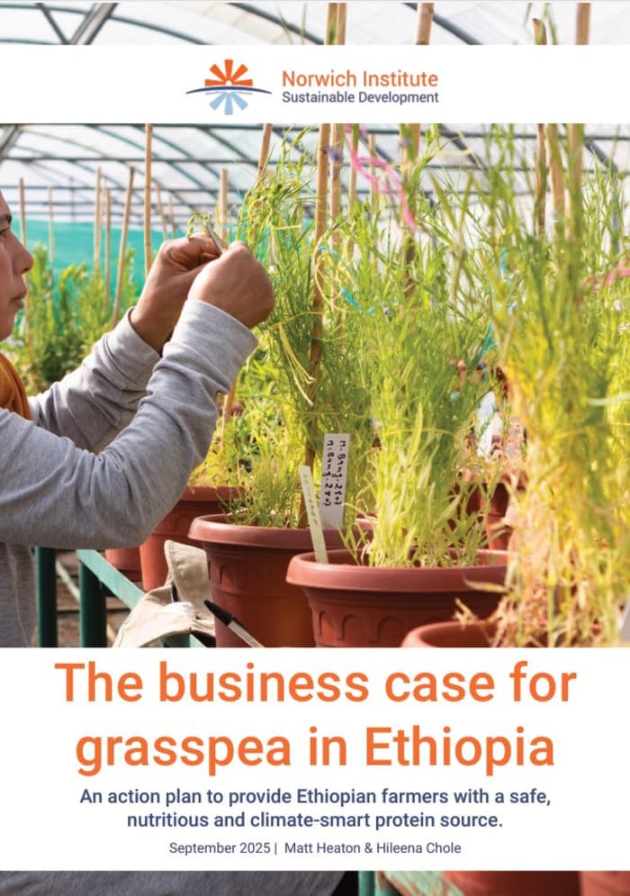 The business case for safer grasspea in Ethiopia