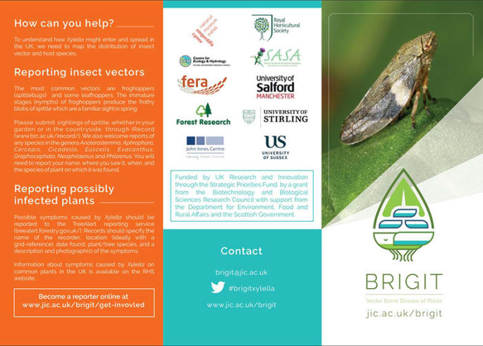 BRIDGIT project
