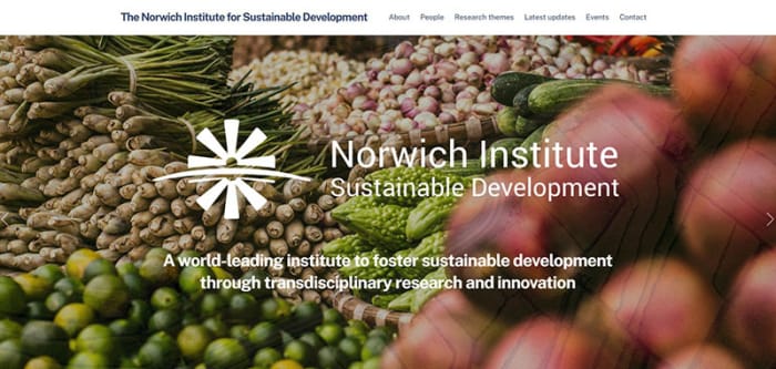 Website and branding: Norwich Institute for Sustainable Development