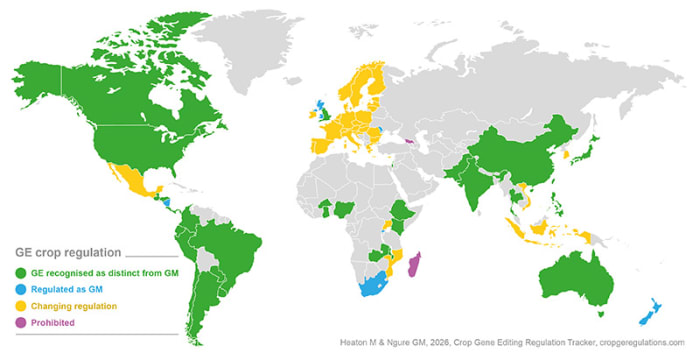 The global regulatory status and commercialisation requirements of gene edited crops