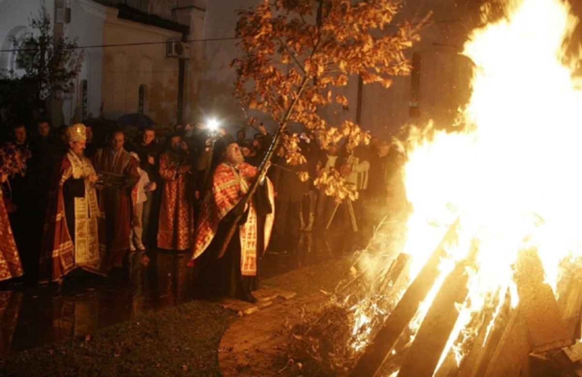 Badnjak, Serbie