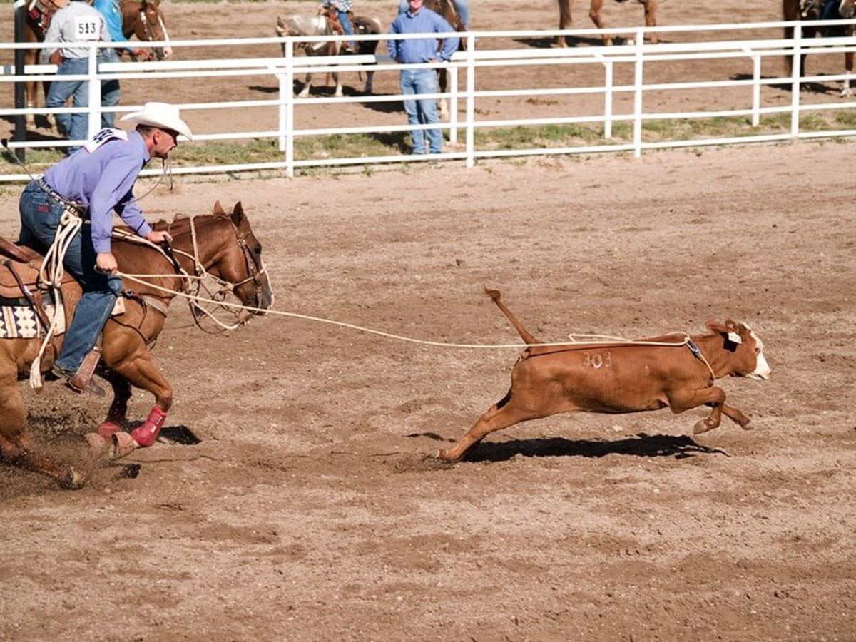 Cheyenne Frontier Days, États-Unis