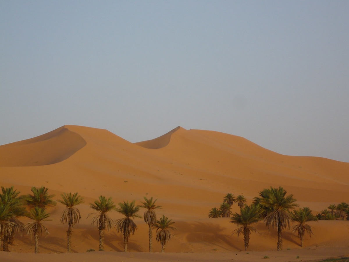 Lancez-vous dans une descente de la grande dune de Taghit à ski, Algérie