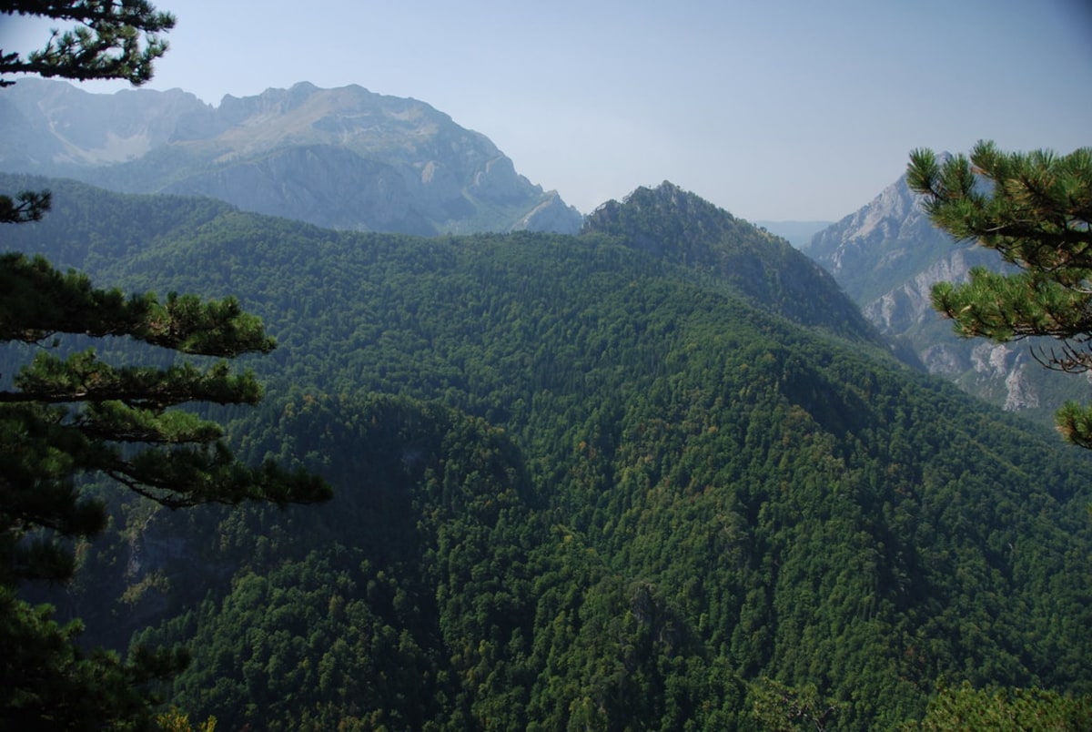 Explorez la Perucica à la découverte de l'une des dernières forêts primaires d’Europe, Bosnie-Herzégovine