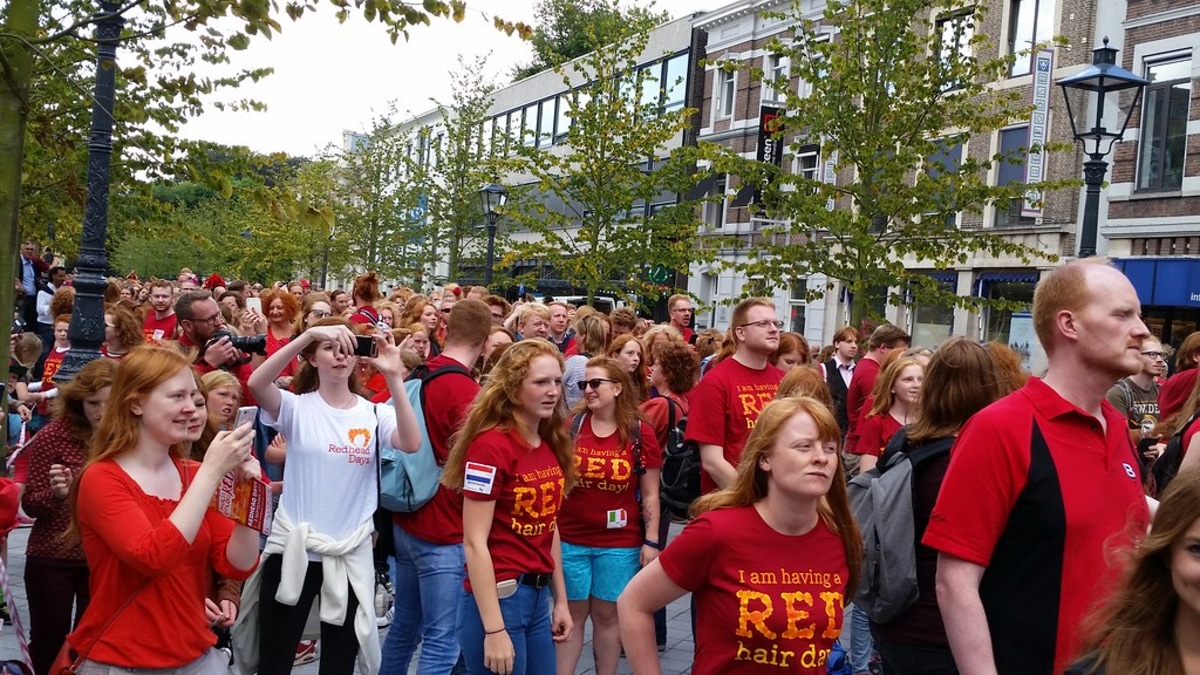 Redhead Day, Pays-Bas