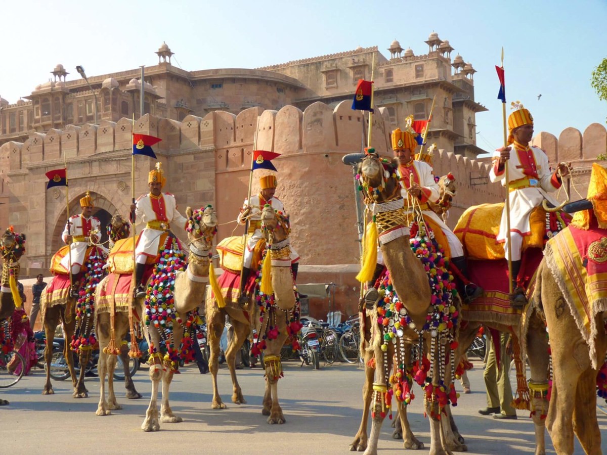 Bikaner Camel Festival, Inde
