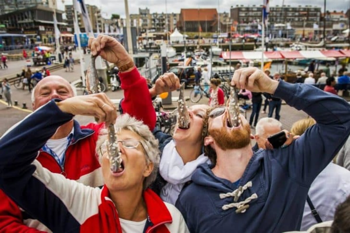 Fête du hareng, Pays-Bas