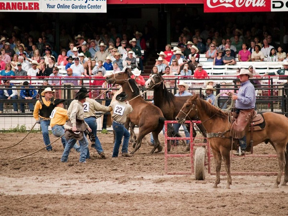 Cheyenne Frontier Days, États-Unis