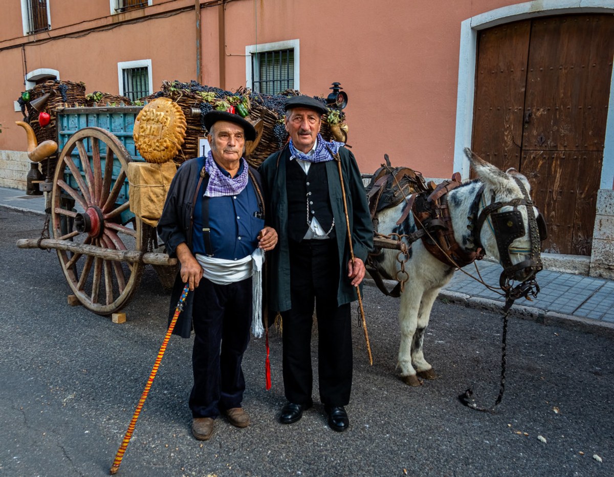 Fiesta Nacional de la Vendimia, Argentine