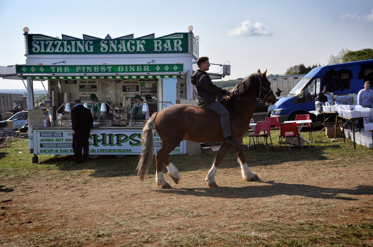 Foire aux chevaux de Stow on the Wold, Angleterre