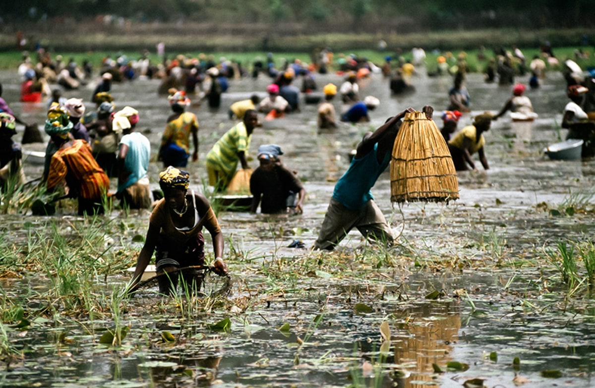 Fête de la Mare, Guinée