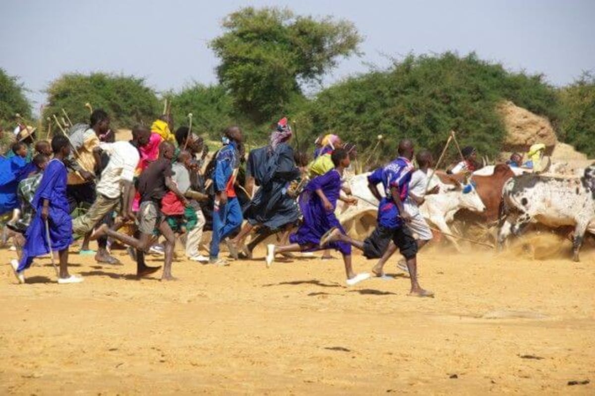 Traversée de Diafarabé, Mali