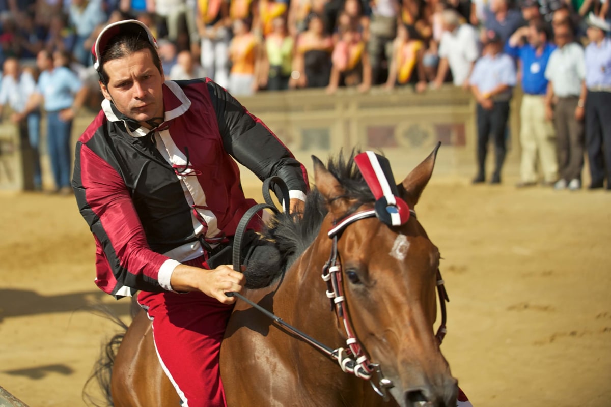 Palio di Provenzano, Italie