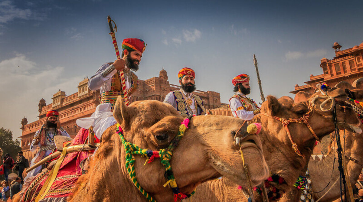 Bikaner Camel Festival, Inde
