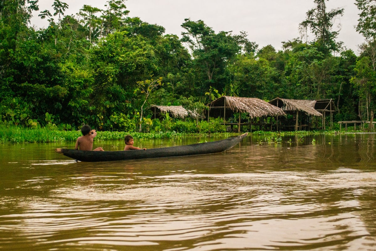 Partagez le quotidien des tribus Waraos sur les rives du fleuve Orénoque, Venezuela, Cameroun