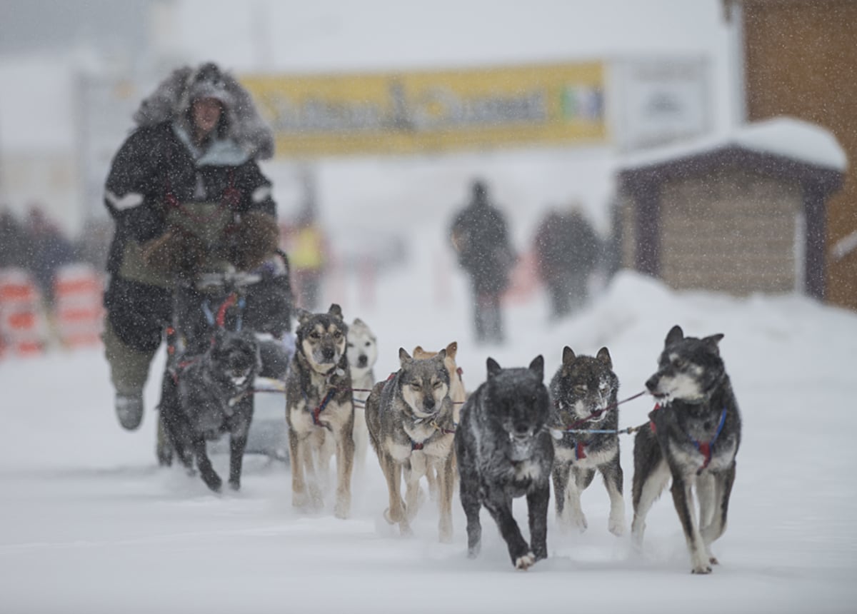 Yukon Quest, 